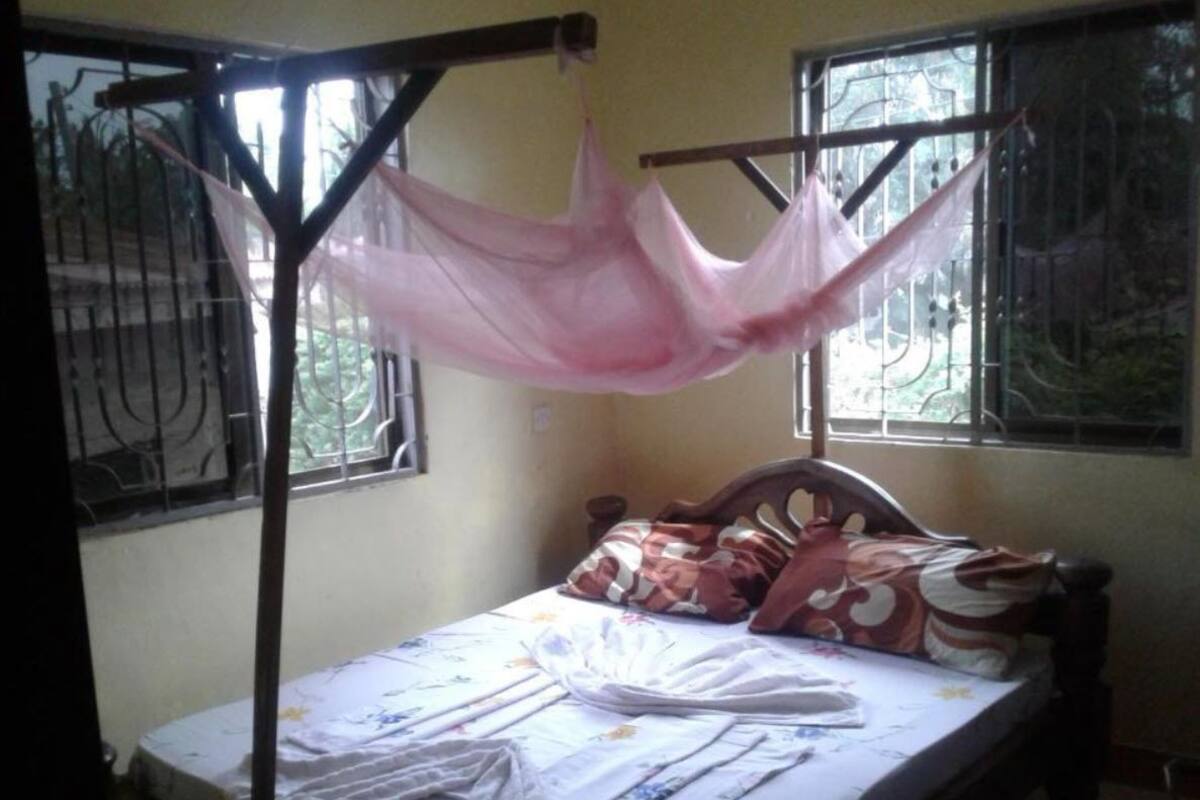 Habitación Confort doble | Tabla de planchar con plancha, wifi gratis, ropa de cama