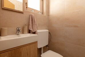 Hair dryer, towels, shampoo, toilet paper