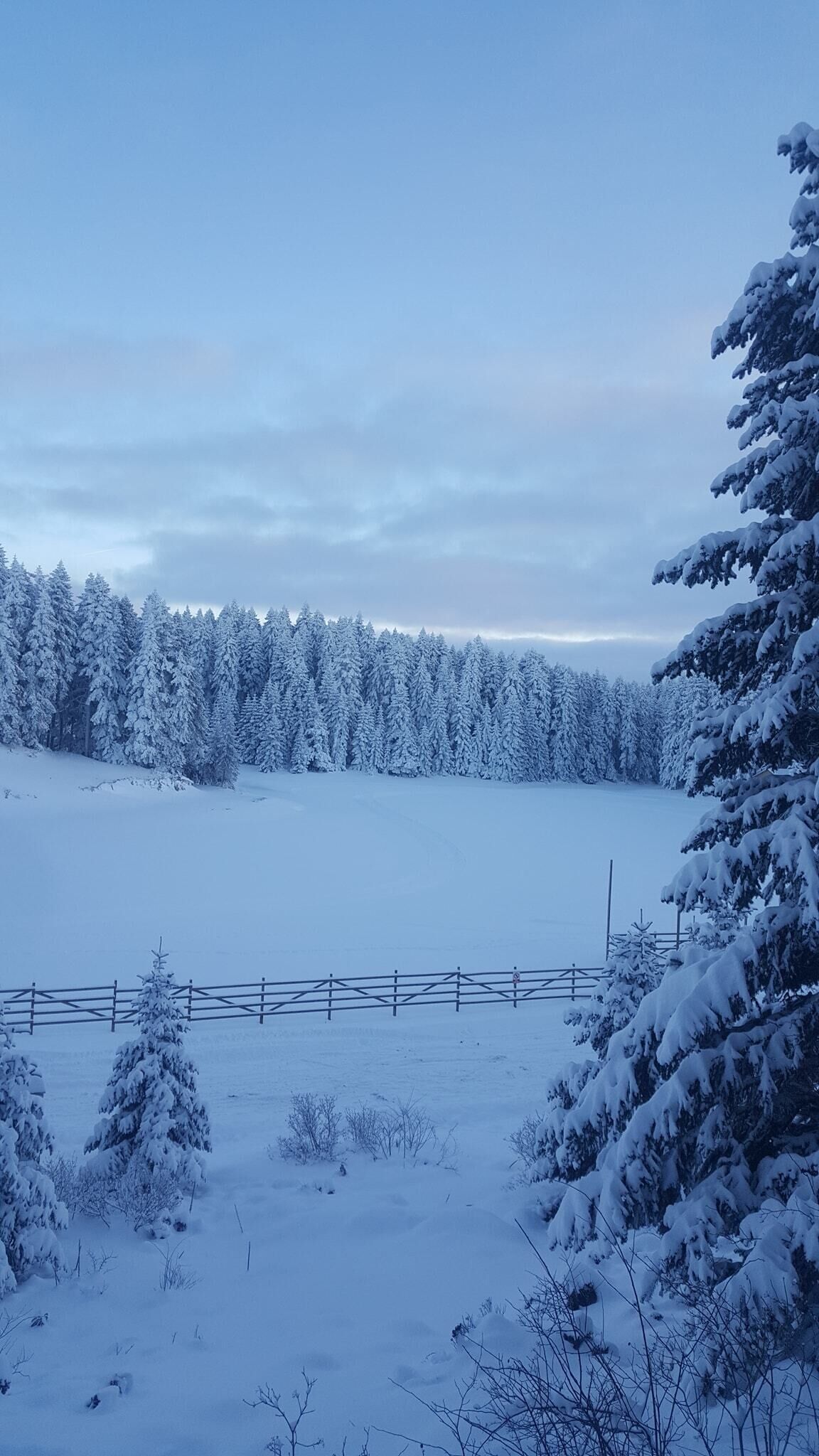 A snow-covered landscape with a wooden fence and trees.
