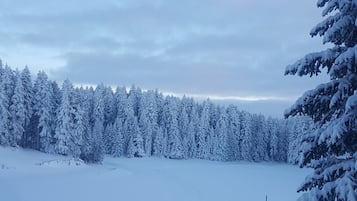 A snow-covered landscape with a wooden fence and trees.