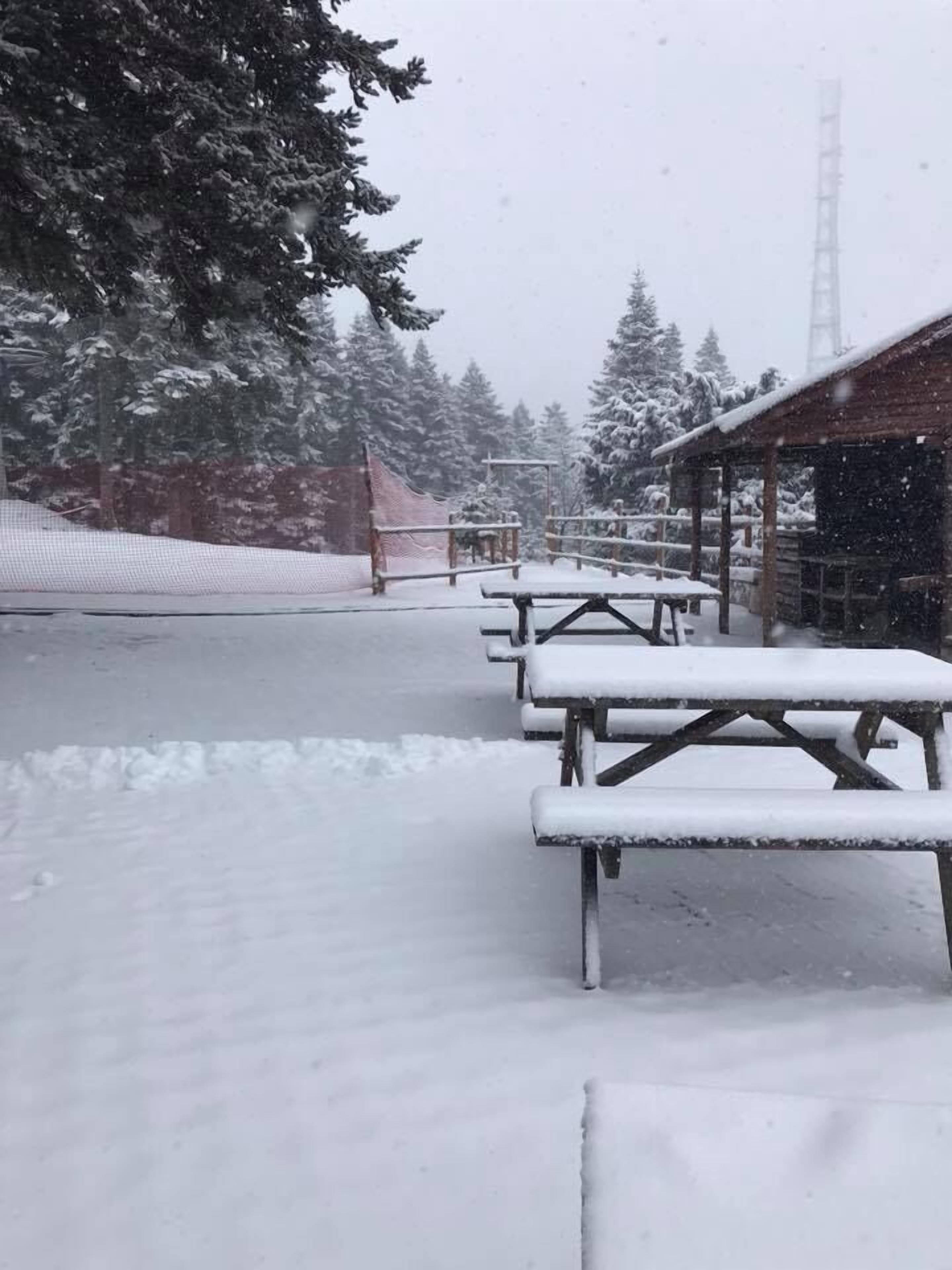 A snow-covered outdoor area with picnic tables and a wooden building.