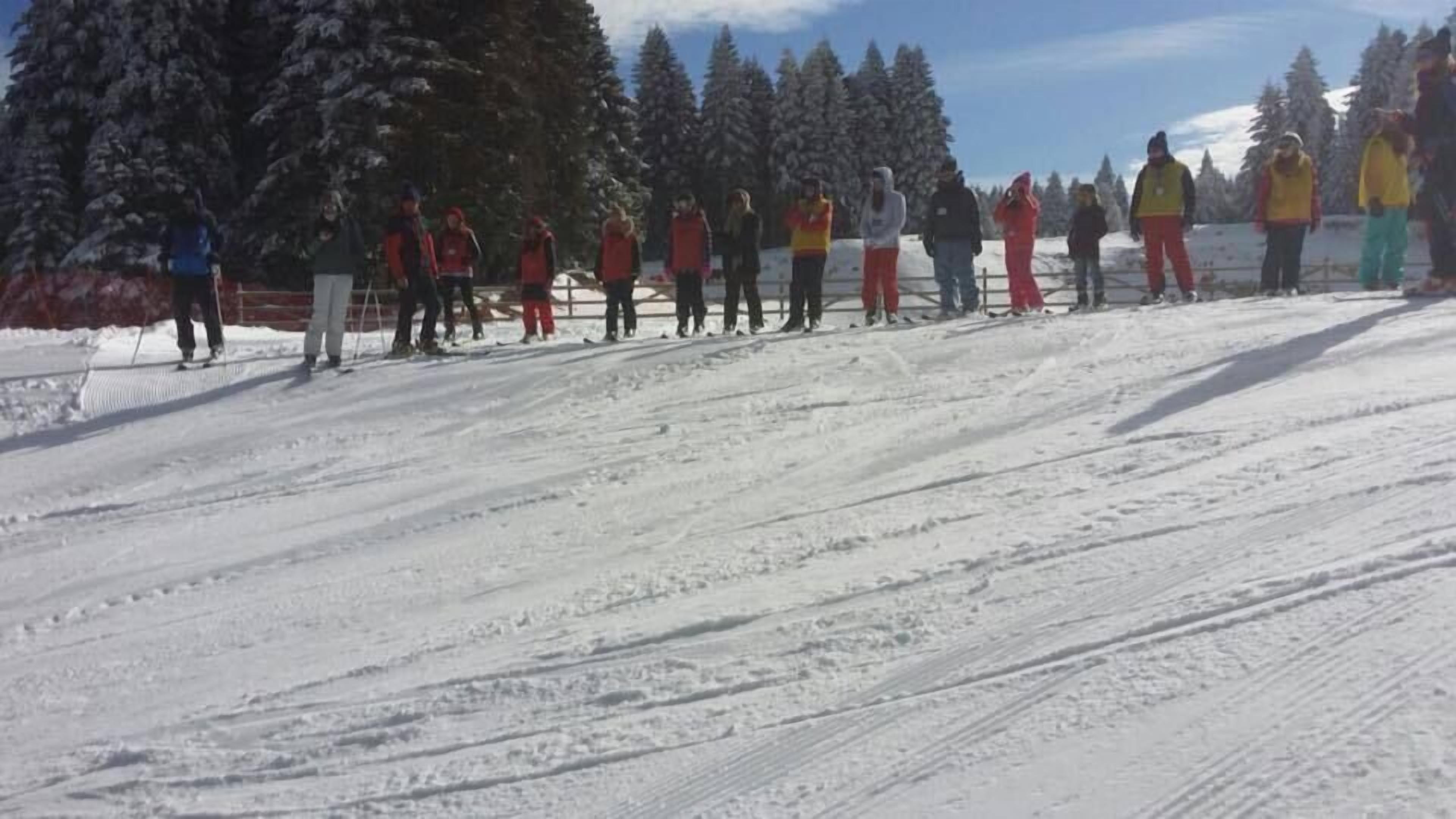Eine Skipiste mit Skifahrern am Gipfel, Bäume im Hintergrund und einem klaren Himmel.