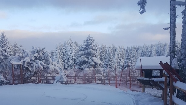 Un espace extérieur enneigé, délimité par une clôture, comprenant une structure en bois et des arbres couverts de neige.