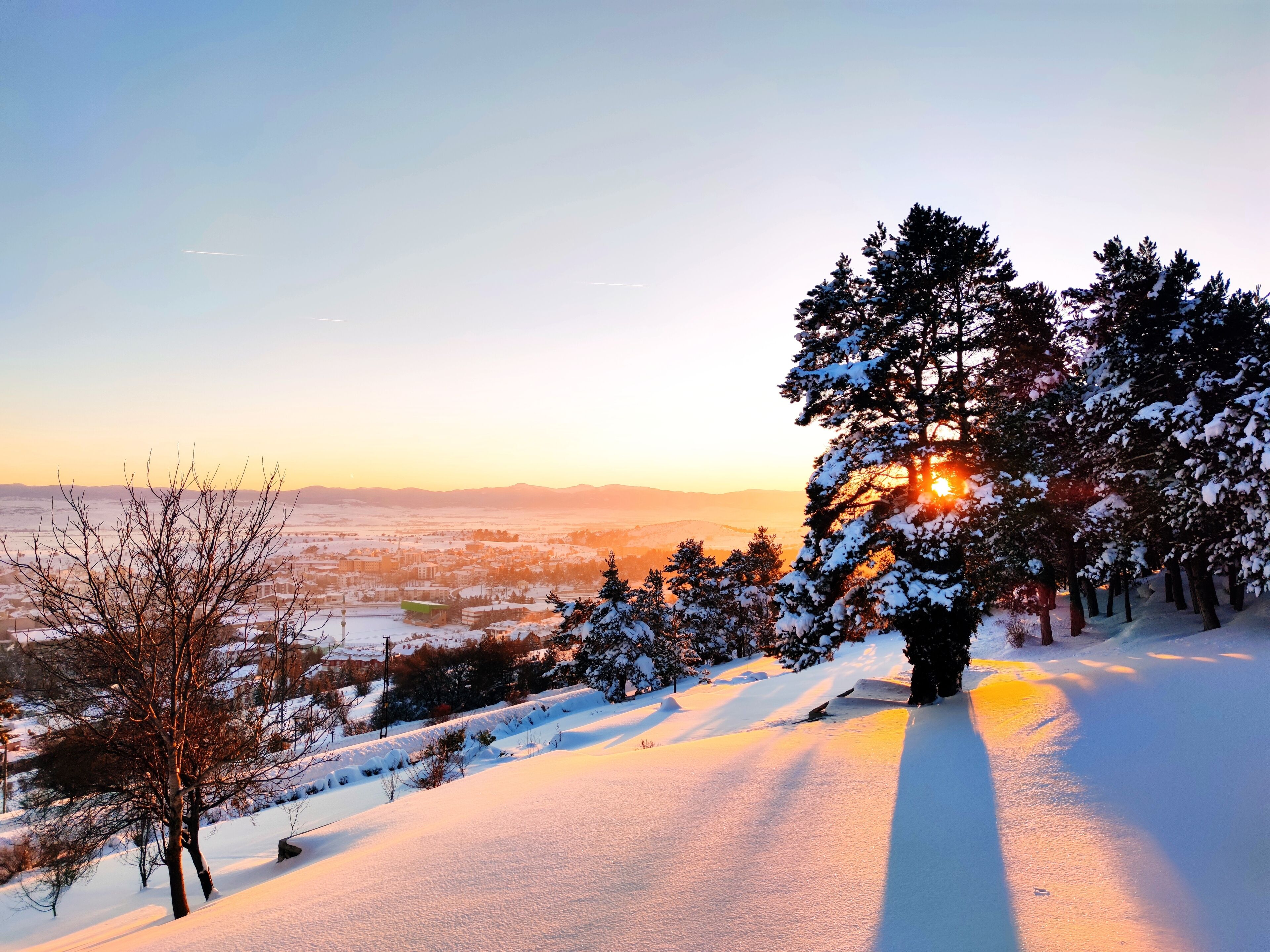 A snowy landscape with a tree in the foreground and a city in the background.
