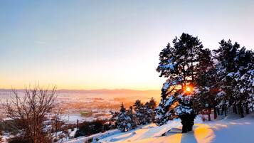 A snowy landscape with a tree in the foreground and a city in the background.