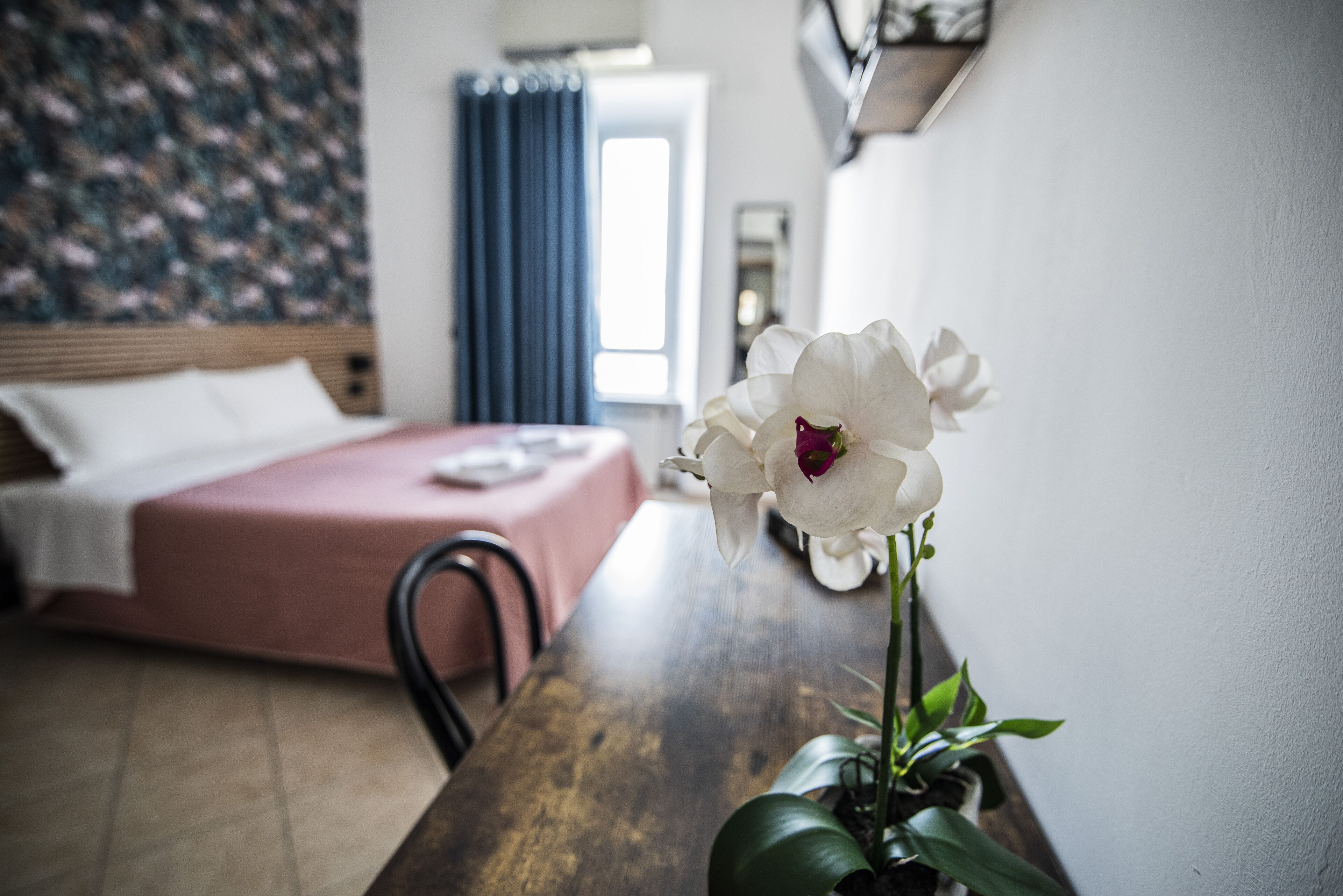 A room with a bed, a wooden table with a white orchid, and a blue curtain in the background.