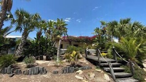 A tropical garden with palm trees, a stone pathway, and a building in the background. - Casa W Olhão - ALMIRANTE (Olhão)