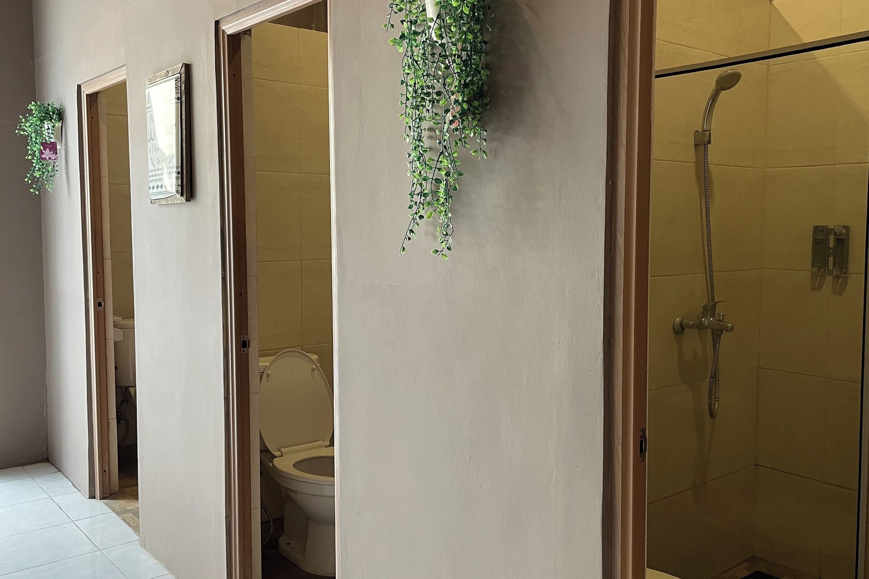 A bathroom with a toilet, a shower, and a hanging plant.