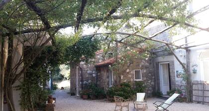 Azienda Agricola Le tore srl