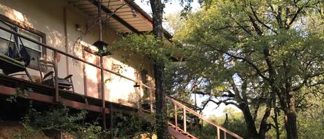 المنطقة المحيطة بالمنشأة