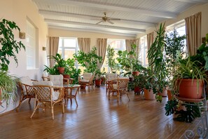 Meeting facility - Villa Muse (Sof'ino)