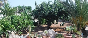 Appartamento con giardino 3