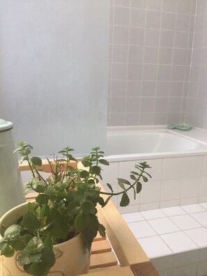 SĂšche-cheveux, serviettes fournies, savon, papier toilette