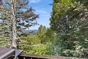 Property grounds - Dog-friendly home with stunning views & balcony, near Cannon Mountain (Franconia)