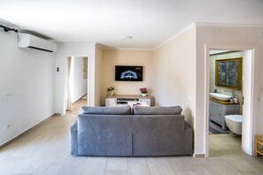 Flat-screen TV, video games, DVD player, video library