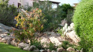 Uklassifisert bilde, 3 av 36, knapp