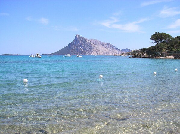 Beach - Apartment with garden and wi-fi in residence with swimming pool (Loc. Monte Petrosu - San Teodoro (SS))