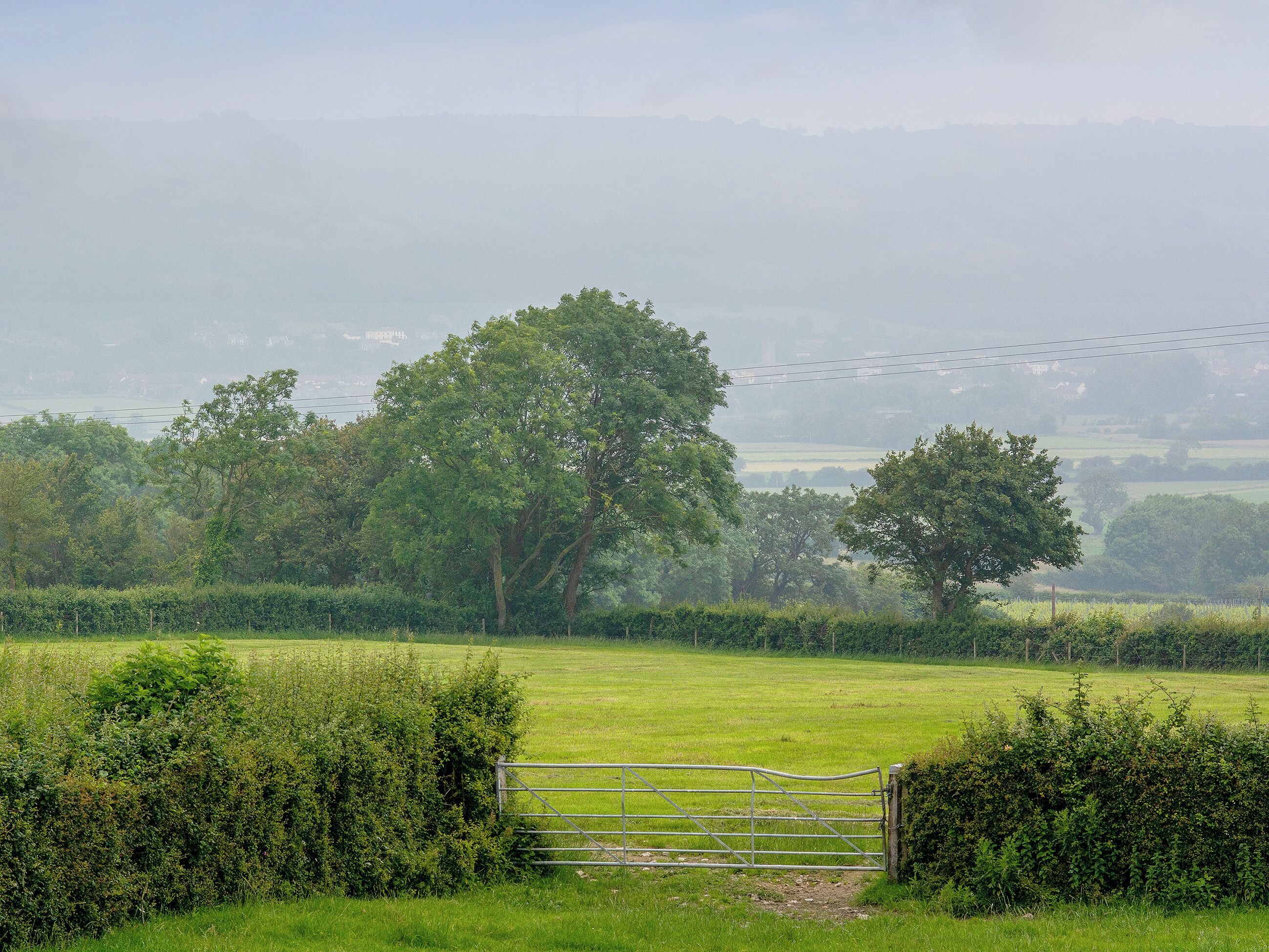 Un paysage rural avec une barrière en métal, de vastes champs verdoyants et des arbres en arrière-plan.