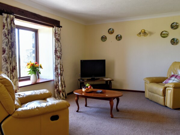 A living room with a sofa, a coffee table, a television, and a window with curtains.