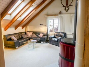 تلفزيون بشاشة مسطحة، مدفأة، مشغل دي في دي