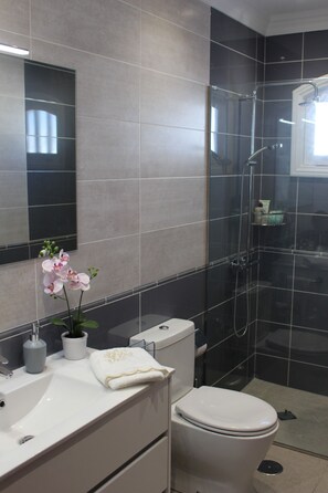 Shower, hair dryer, towels, soap