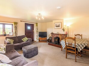 Fireplace - Trewin Court - UK11878 (Holsworthy, near Launceston)