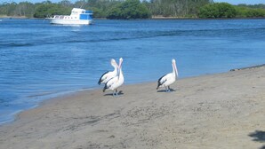 Two pelicans on a sandy beach with a boat in the background.