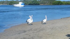 Beach - Stunning Holiday Townhouse (Tea Gardens)