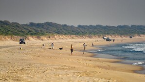 Una playa con gente pescando, vehículos y una colina arbolada al fondo.