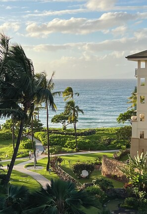 Un resort con vista sull'oceano, palme e un giardino curato.