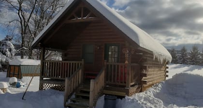 Riverfront Cabin West Branch Delaware River