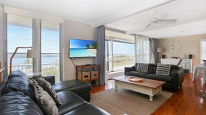 TV, fireplace, DVD player