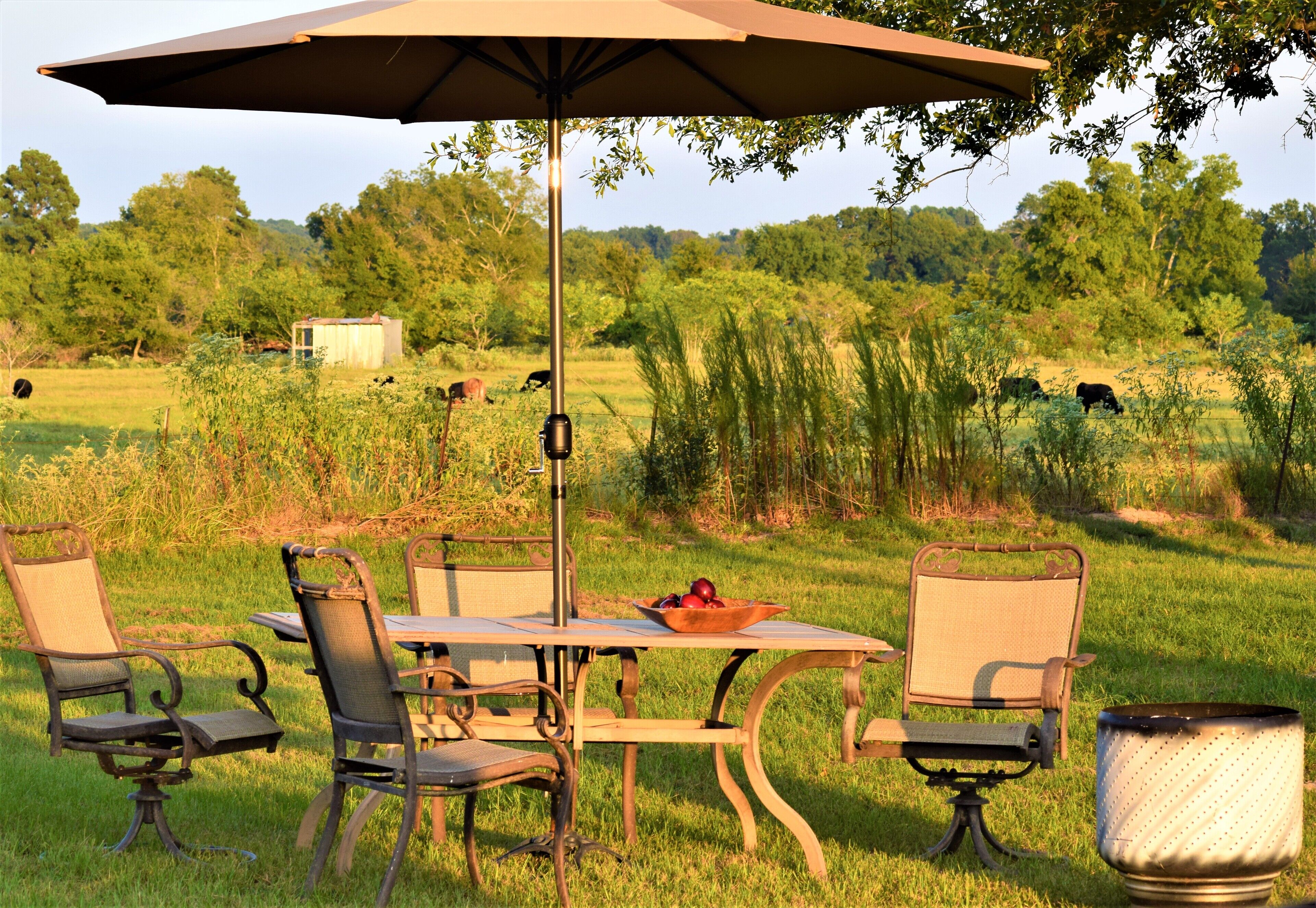 A patio with a table and chairs, an umbrella, and a view of a grassy field with cows.