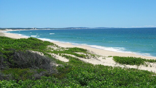 Un paysage côtier avec une plage de sable et une végétation luxuriante.