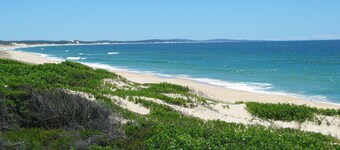 Dyrevennlig - nær Myall River