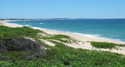 Pet Friendly on Pelican - Close to Myall River