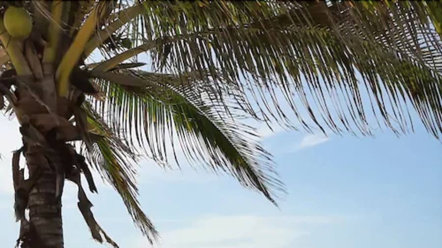 Playa Esperanza Resort