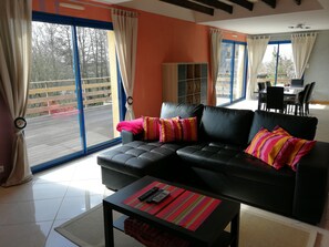 Televisio, DVD-soitin