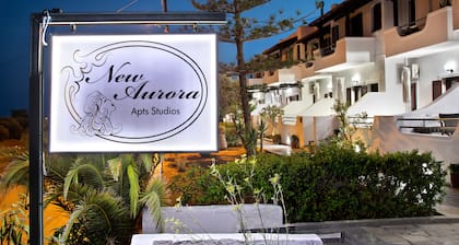 New Aurora Apts Studios