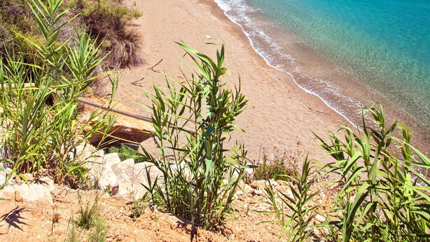Plage