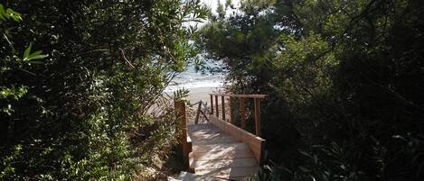 Un sendero de concreto lleva a una terraza de madera con vista a la playa.