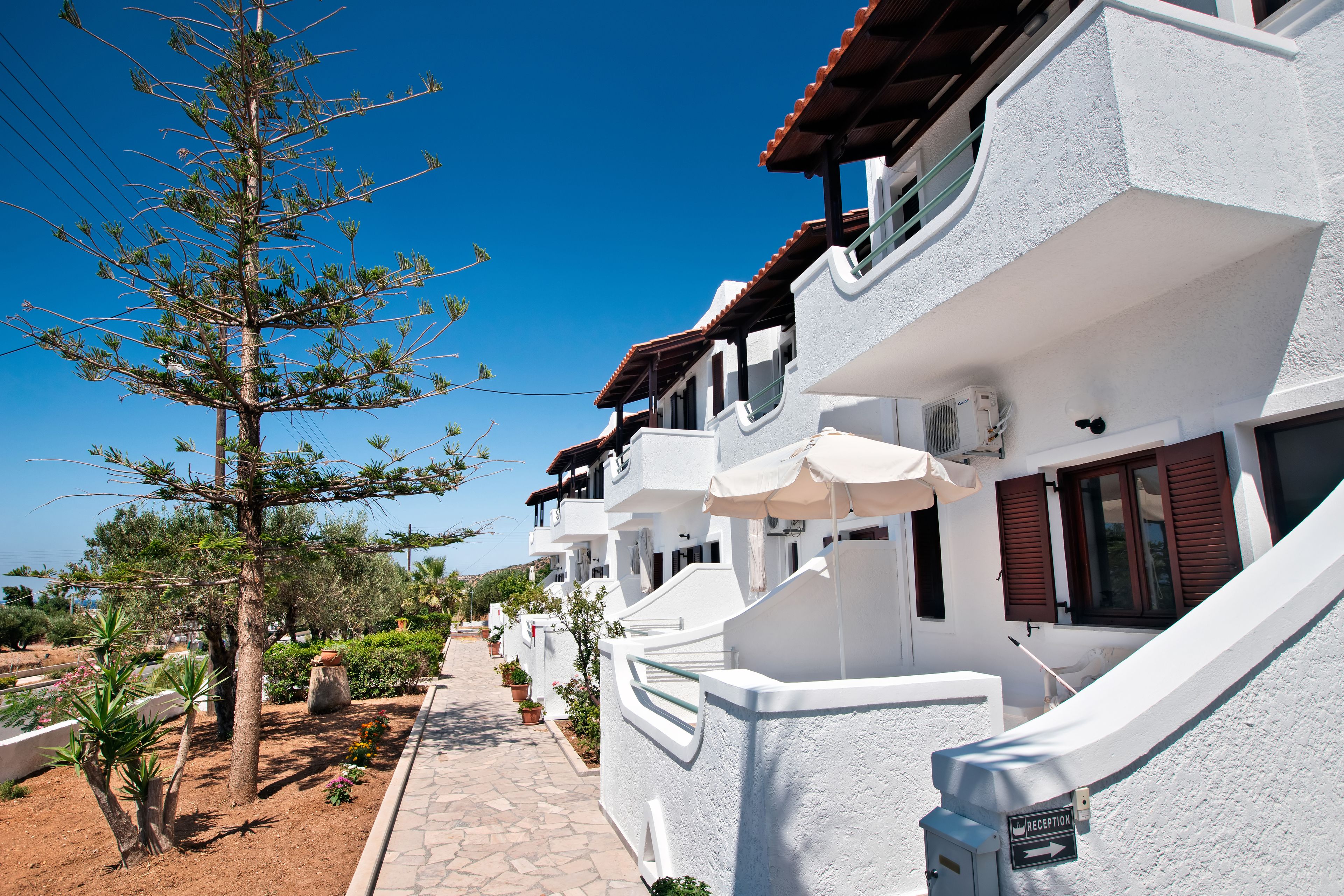 A row of white buildings with balconies, a clear blue sky, and a tree in the foreground.