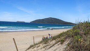 A beach with a sandy shore, a wooden fence, and a grassy area with yellow flowers.