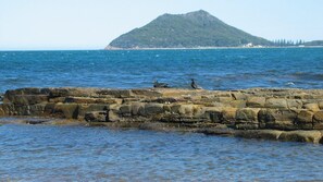 A rocky shoreline with a mountain in the background.