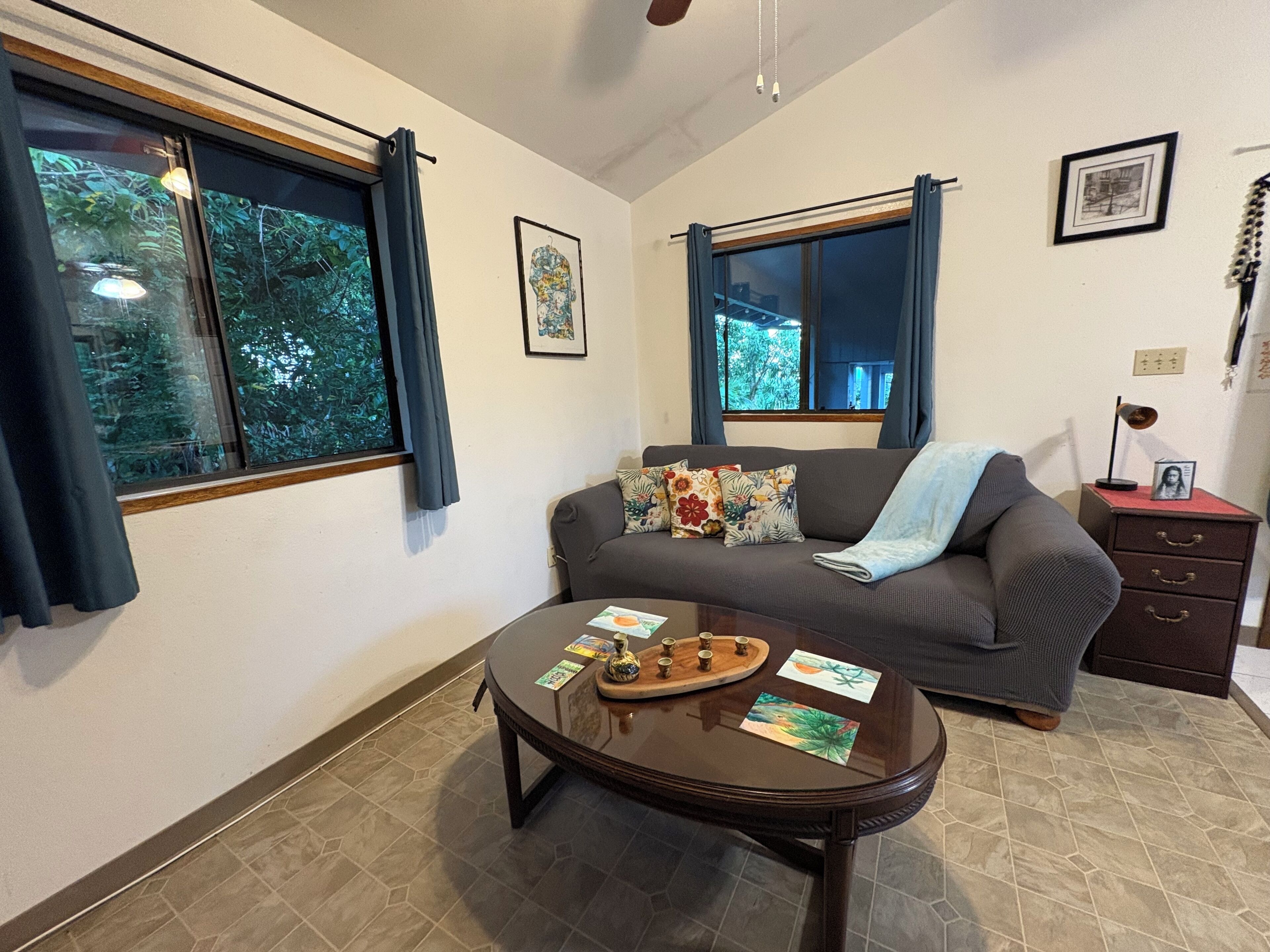 Smart TV, DVD player, books, printers