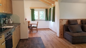 Eine Küche mit Herd, Spüle und Schränken, ein Essbereich mit Tisch und Stühlen sowie ein Sofa im Wohnbereich.
