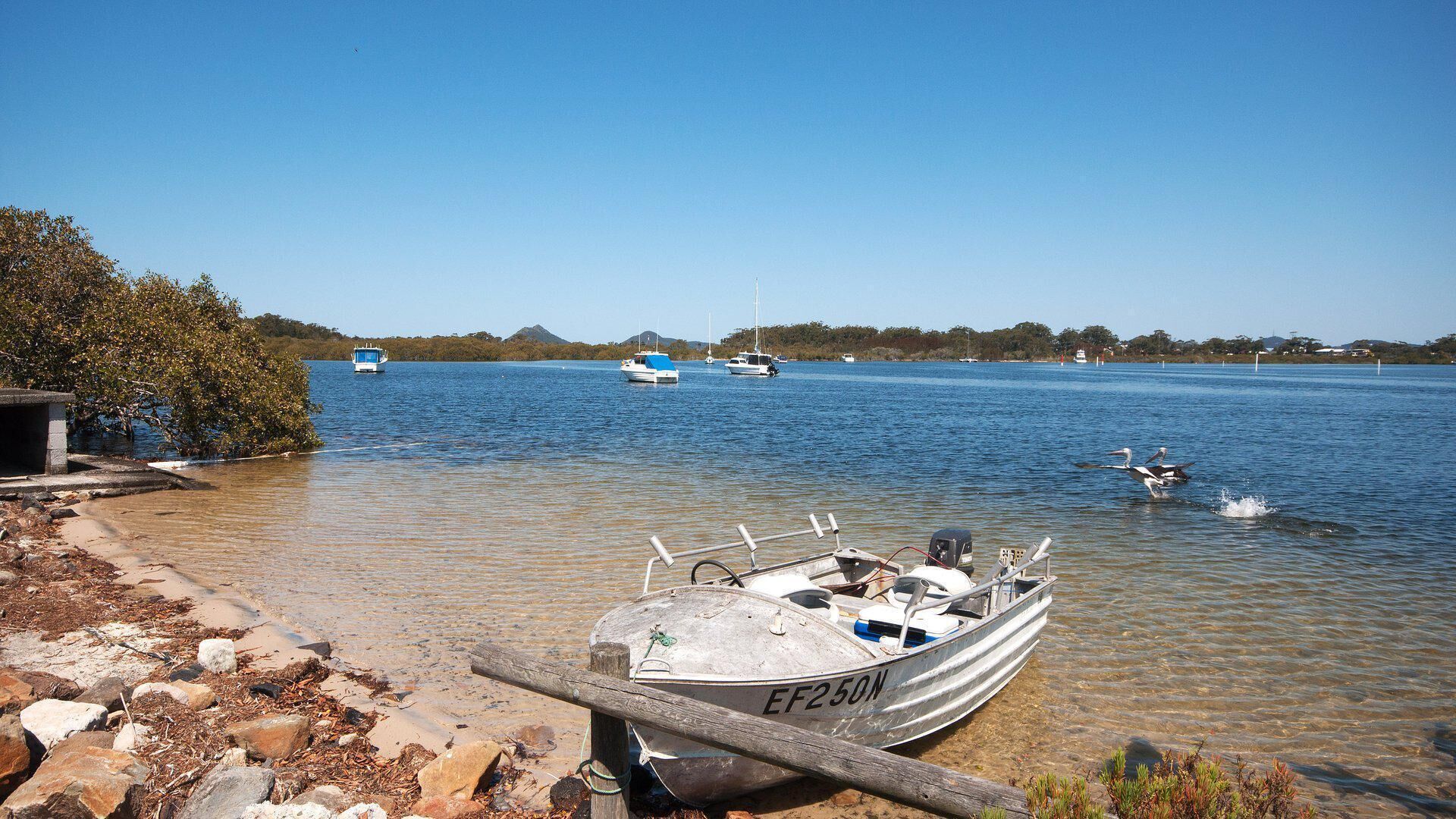 4 Rio Vista! - spectacular views of the Myall River