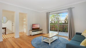 TV, Netflix, DVD player, streaming services