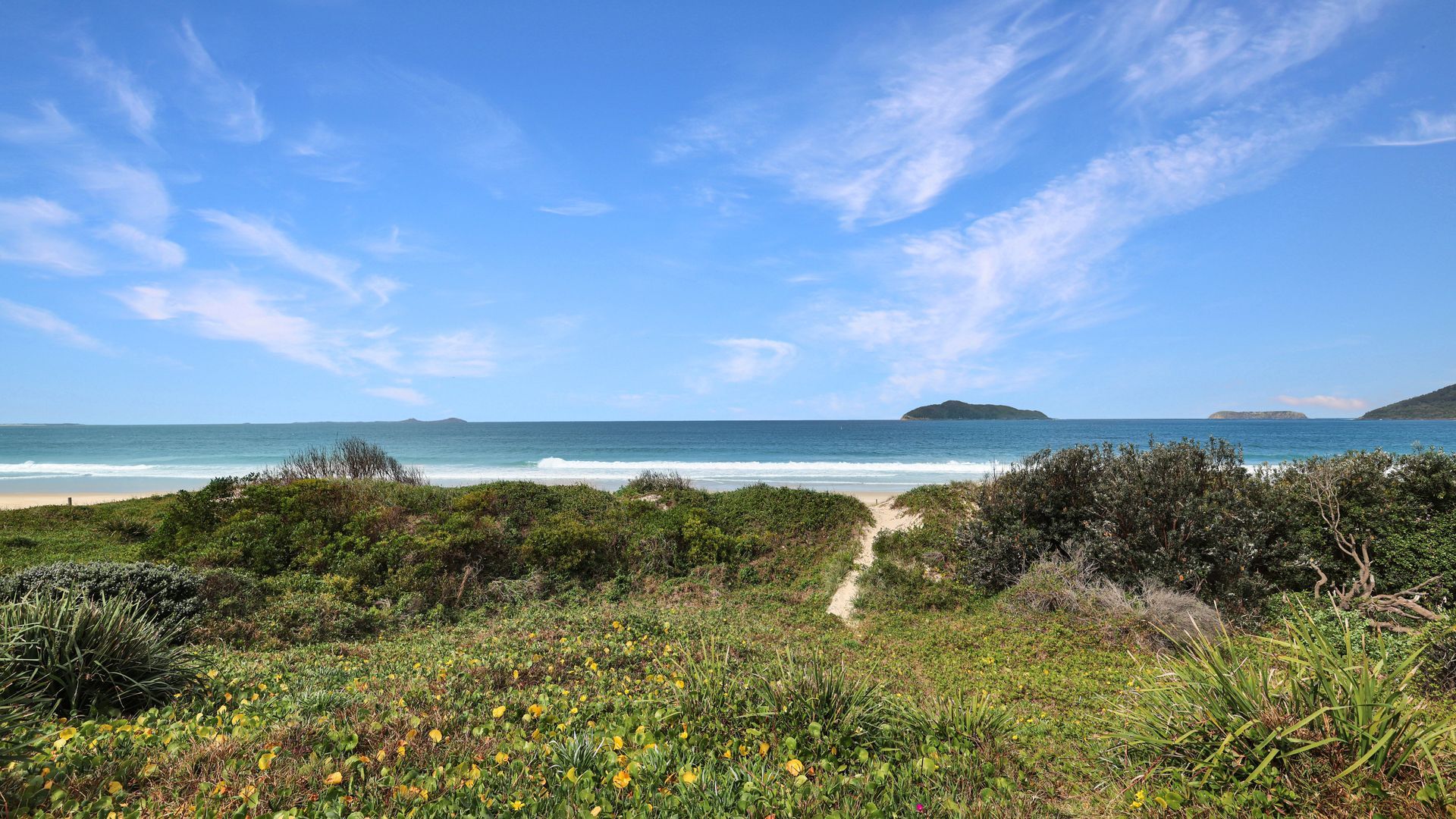 A coastal landscape with a clear sky, a sandy beach, and a path leading to the water.