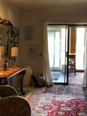 Smart TV, fireplace, books